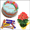 To the Angel of Beauty - Click here to View more details about this Product